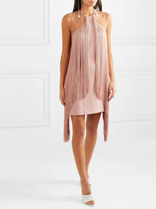 Tulle-paneled Fringed Mini Dress
